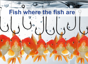 Fish where the fish are